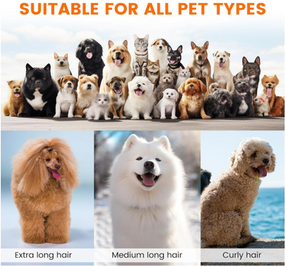 All-in-One Pet Grooming Vacuum Kit